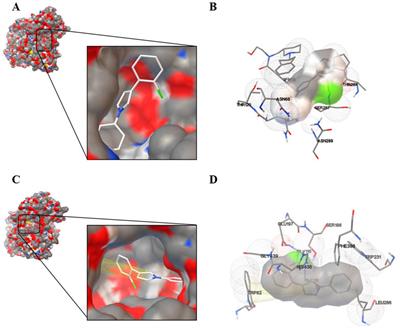 Discovery of pyrrole derivatives as acetylcholinesterase-sparing butyrylcholinesterase inhibitor